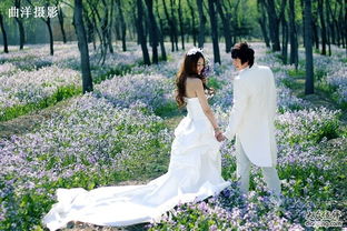 中式婚紗攝影的開創(chuàng)者——曲洋攝影，傳承經(jīng)典之美